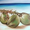 Coconut on The Beach