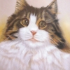 Cat, pastel. Private collection