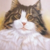 Cat, pastel. Private collection