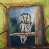 Owl, acrylic and oil, 0.91x0.60mts