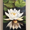 Lotus ll