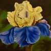Beautiful Flower
