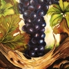 Delicious Grapes